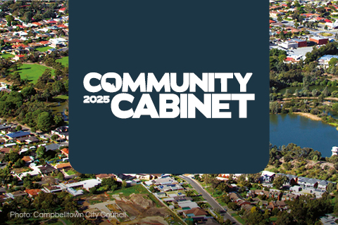 Aerial image of Campbelltown and Community Cabinet Inner North East logo
