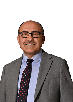Headshot of Mehmet Aslan